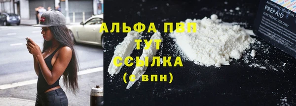 дмт Богданович