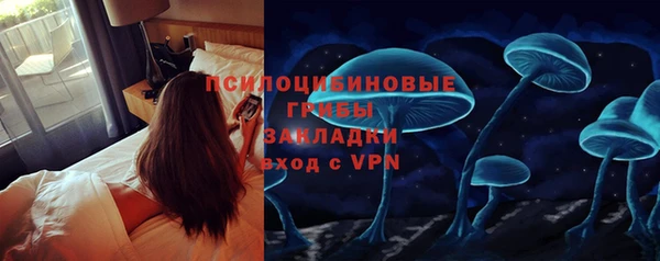 дмт Богданович