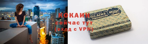 дмт Богданович