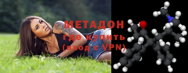 дмт Богданович