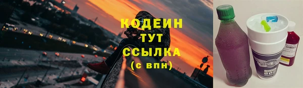 индика Белокуриха