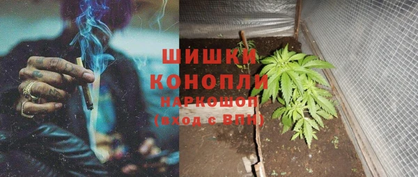 сатива Алапаевск