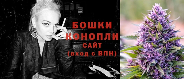 сатива Алапаевск