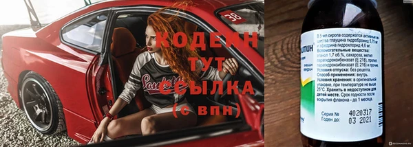 дмт Богданович