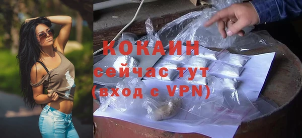 дмт Богданович
